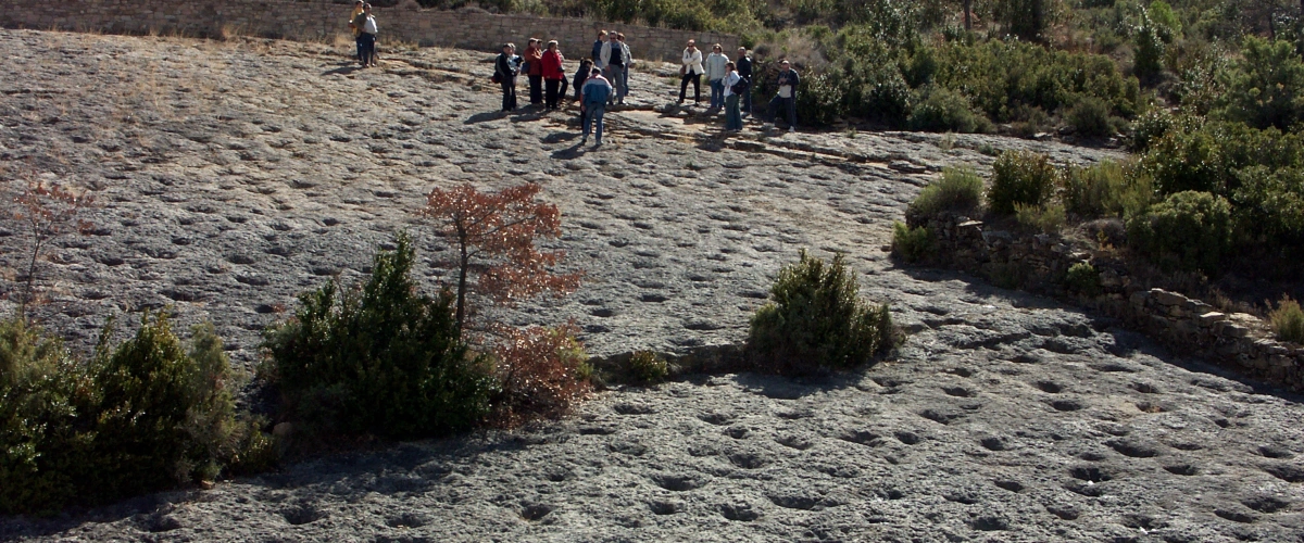 Image of Bed of ichnites, or dinosaur footprints, at La Posa