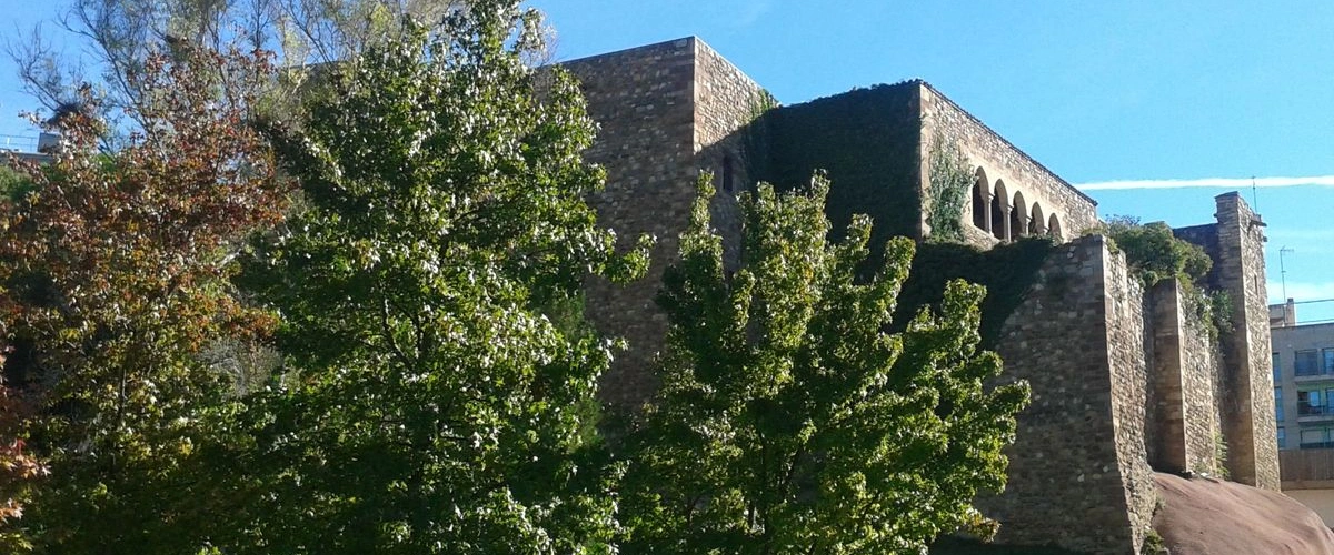 Imatge de Castell Cartoixa de Vallparadís