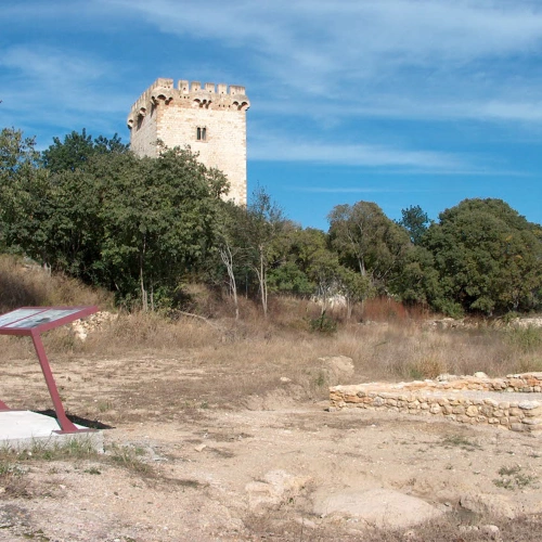 Imatge de Parc Arqueològic de la Carrova